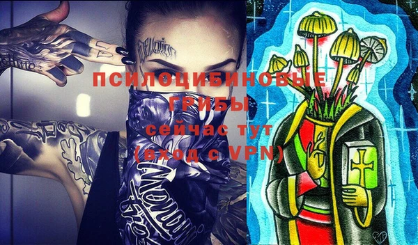 ешки Белокуриха