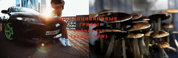 стаф Белоозёрский