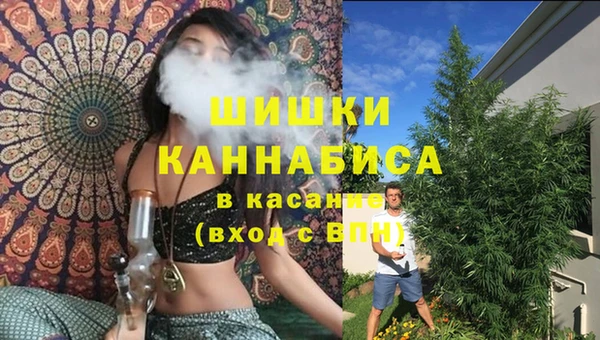 ешки Белокуриха